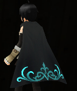 Emblem Cloak